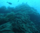 Image 2 - 