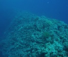 Image 10 - 